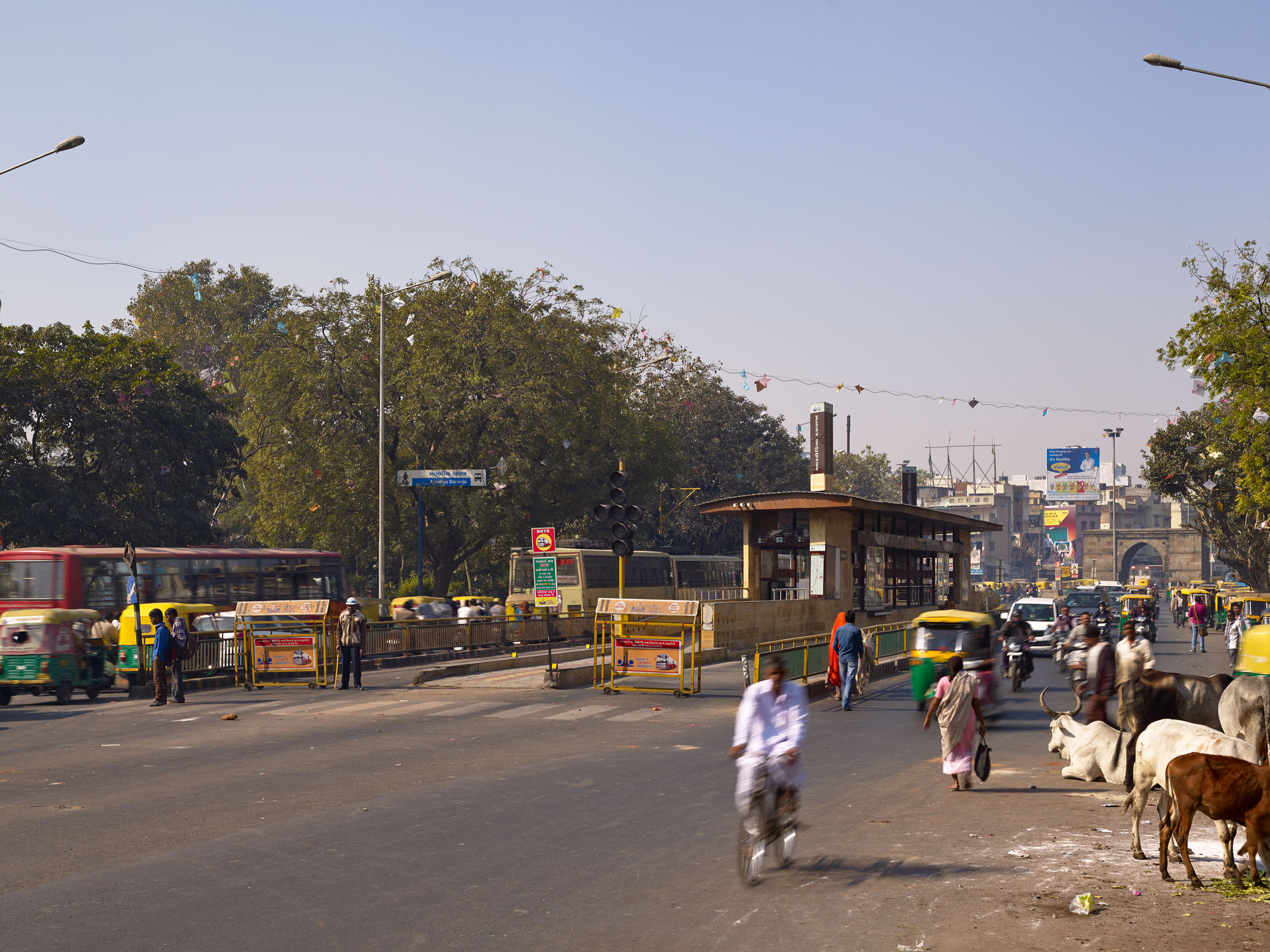 E14492 Alpa 042623 j2560